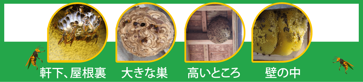 軒下、屋根裏 大きな巣 高いところ 壁の中