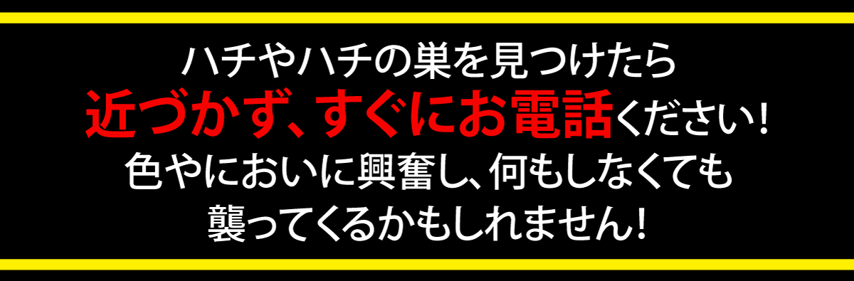 ハチやハチの巣を見つけたら 近づかず、すぐにお電話ください! 色やにおいに興奮し、何もしなくても 襲ってくるかもしれません!