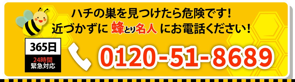 お電話一本ですぐにハチ駆除に出動いたします